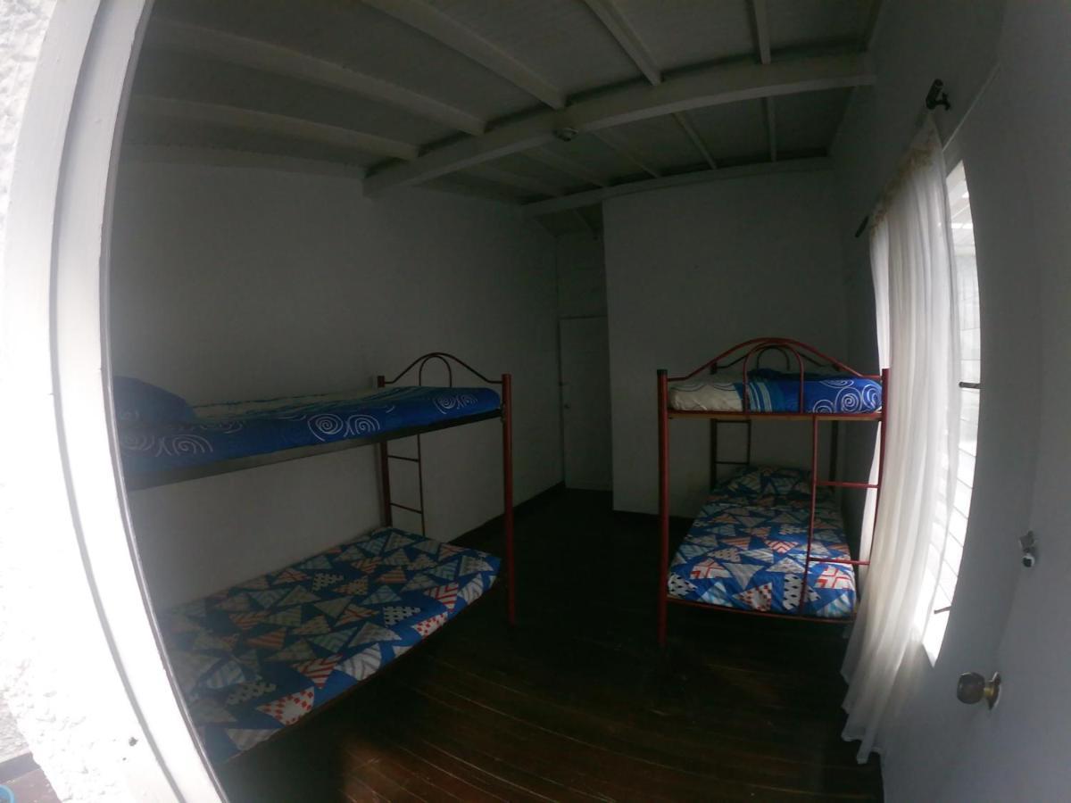 Le VI Hostal Медельин Экстерьер фото